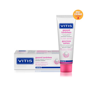 VITIS 비티스 건강한 잇몸 케어 치약 100ml